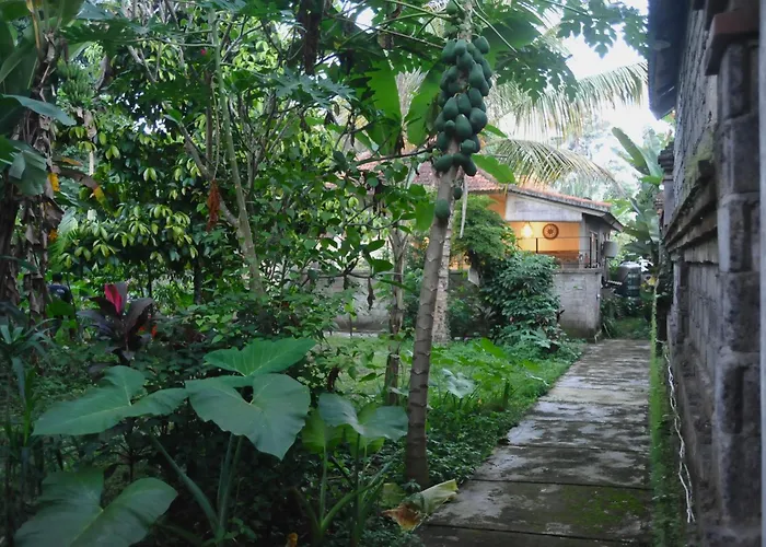 Ampi House * Ubud (Bali)